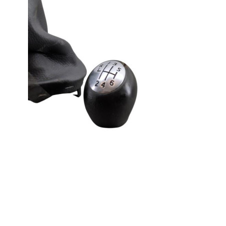 Pommeau de vitesses DACIA DUSTER 1