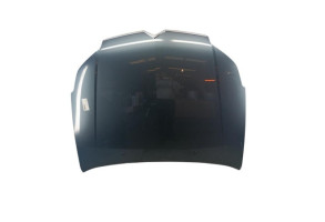 Capot CITROEN C5 1 Photo n°3