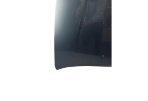 Capot CITROEN C5 1 Photo n°4