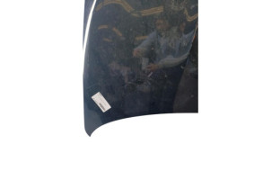 Capot NISSAN QASHQAI 1 Photo n°1