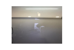 Porte arriere gauche CITROEN C3 2 Photo n°3