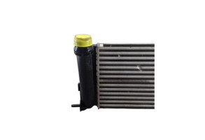 Echangeur air (Intercooler) DACIA SANDERO 2 Photo n°6