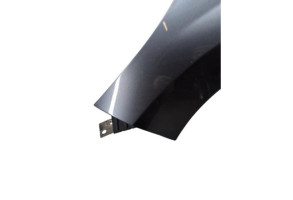 Aile avant gauche PEUGEOT 207 Photo n°1