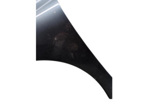 Aile avant gauche PEUGEOT 207 Photo n°3