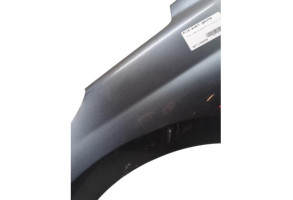 Aile avant gauche PEUGEOT 207 Photo n°5