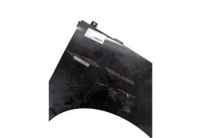 Aile avant droit RENAULT SCENIC 3 Photo n°3