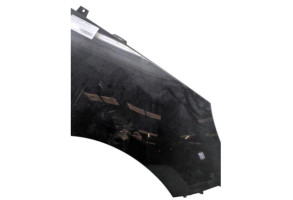 Aile avant droit RENAULT SCENIC 3 Photo n°4