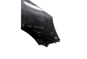 Aile avant droit RENAULT SCENIC 3 Photo n°5