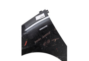 Aile avant gauche RENAULT SCENIC 3 Photo n°4