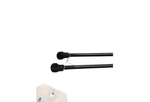 Verin de coffre RENAULT SCENIC 3 Photo n°5