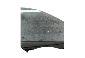 Vitre avant droit RENAULT SCENIC 3 Photo n°1