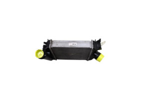Echangeur air (Intercooler) RENAULT CLIO 5 Photo n°8