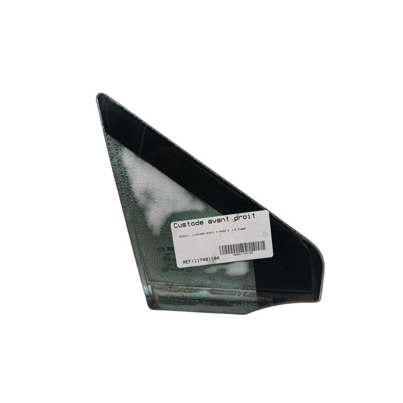 Custode avant droit (porte) RENAULT SCENIC 3 Photo n°1