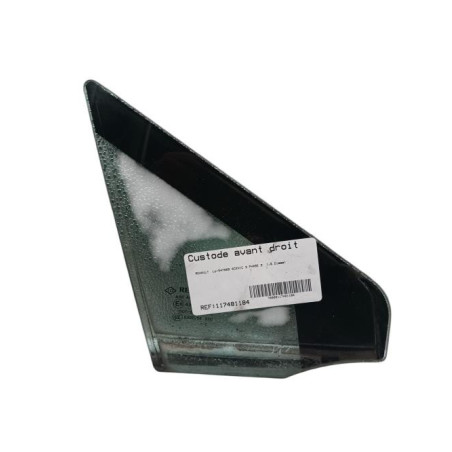 Custode avant droit (porte) RENAULT SCENIC 3