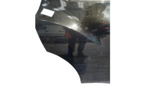 Porte arriere droit NISSAN JUKE 1 Photo n°1