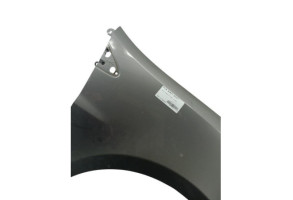 Aile avant droit RENAULT CLIO 3 Photo n°7