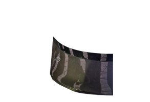 Malle/Hayon arriere VOLKSWAGEN PASSAT 6 Photo n°2