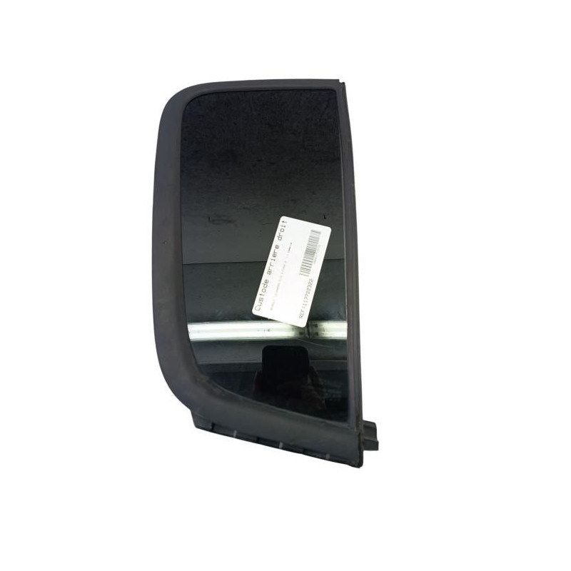 Custode arriere droit (porte) RENAULT CLIO 3 Photo n°1