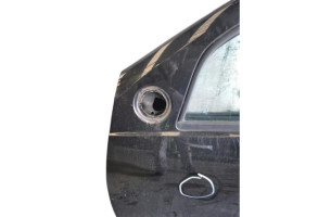 Porte avant gauche DACIA DUSTER 1 Photo n°3