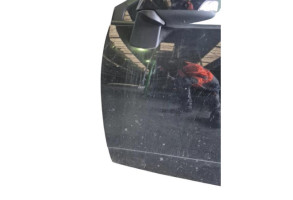 Porte avant gauche RENAULT SCENIC 3 Photo n°11