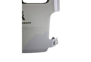 Porte de coffre droit PEUGEOT EXPERT 3 Photo n°3
