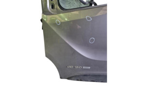 Porte avant gauche RENAULT TRAFIC 3 COURT Photo n°5