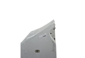 Aile avant gauche RENAULT TRAFIC 3 COURT Photo n°3