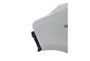 Aile avant gauche RENAULT TRAFIC 3 COURT Photo n°5