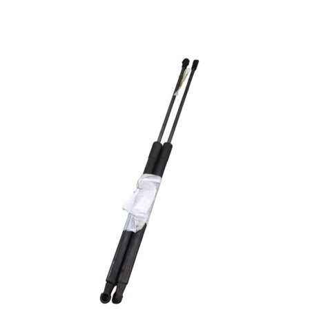 Verin de coffre NISSAN QASHQAI 1