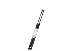 Verin de coffre NISSAN QASHQAI 1 Photo n°1