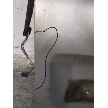 Porte arriere gauche RENAULT TRAFIC 2