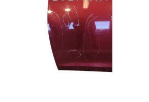 Porte avant gauche DACIA SANDERO 2 Photo n°8