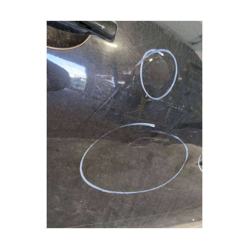 Porte avant droit DACIA DUSTER 1 Photo n°1