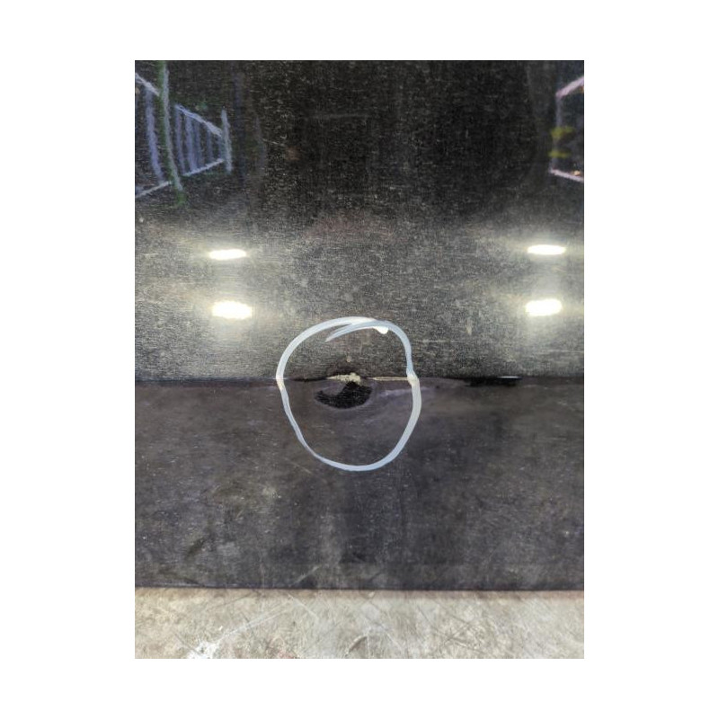 Porte arriere gauche VOLKSWAGEN POLO 5 Photo n°1