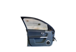 Porte avant gauche SMART FORFOUR 1 Photo n°7