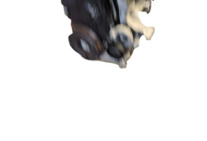 Moteur RENAULT CLIO 5 Photo n°5