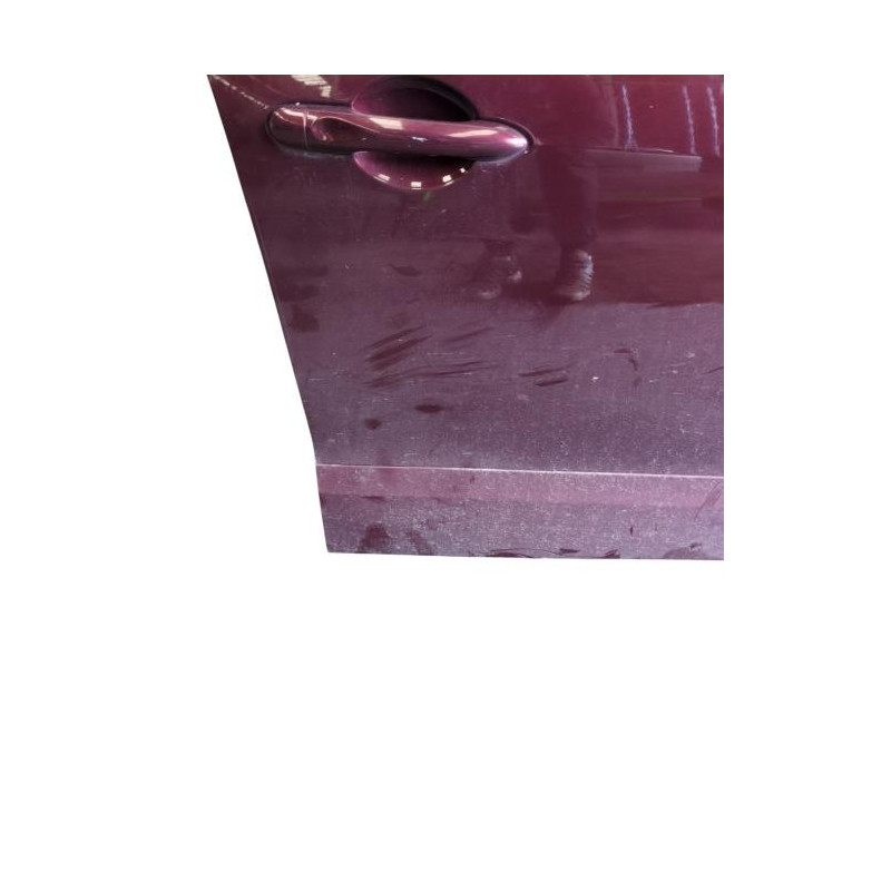 Porte avant droit RENAULT SCENIC 3 Photo n°1