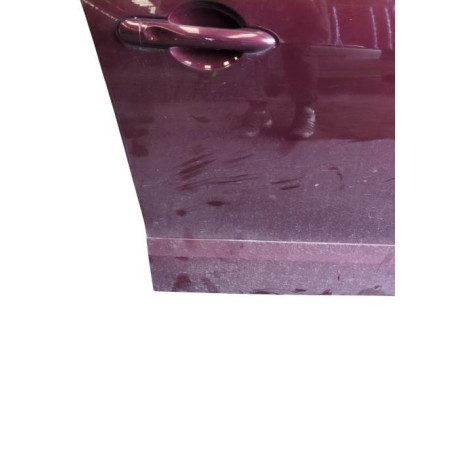 Porte avant droit RENAULT SCENIC 3