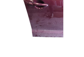 Porte avant droit RENAULT SCENIC 3 Photo n°1