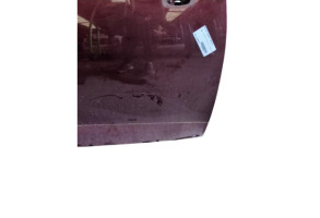 Porte avant droit RENAULT SCENIC 3 Photo n°4