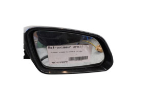 Retroviseur droit VOLKSWAGEN POLO 4 Photo n°6