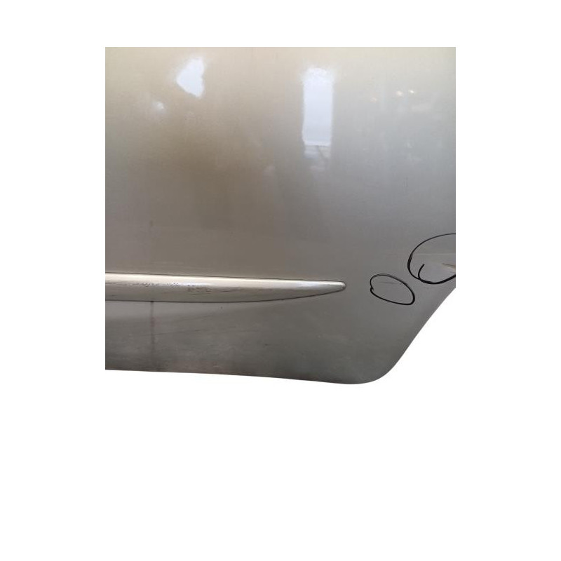 Porte arriere gauche NISSAN MICRA 4 Photo n°1