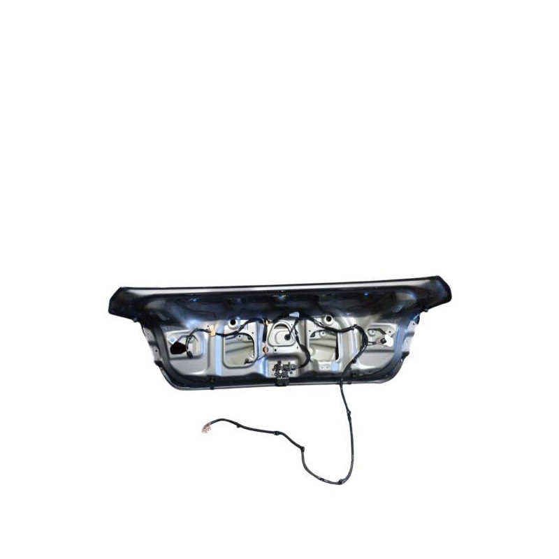 Malle/Hayon arriere RENAULT TALISMAN Photo n°1