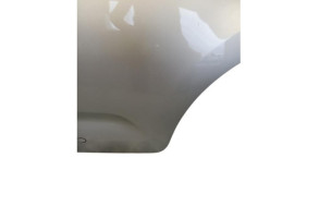 Porte arriere gauche CITROEN C3 2 Photo n°2