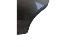 Porte arriere gauche CITROEN C3 3 SOCIETE Photo n°3