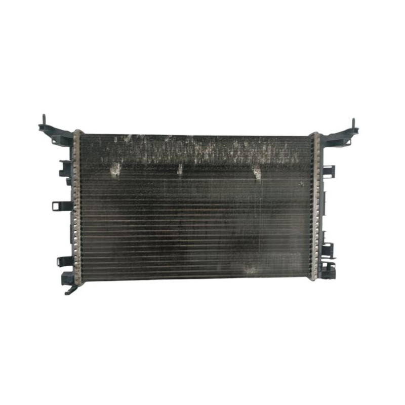 Radiateur eau RENAULT LAGUNA 3 Photo n°1