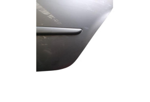 Porte arriere gauche RENAULT MODUS Photo n°7