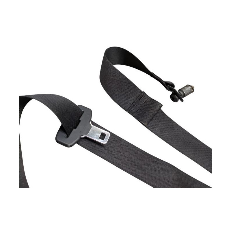 Ceinture arriere droit FIAT 500L Photo n°1