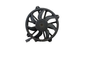 Moto ventilateur radiateur PEUGEOT 3008 1 Photo n°1