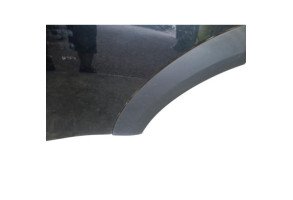 Porte arriere gauche MINI MINI 2 R60 Photo n°6